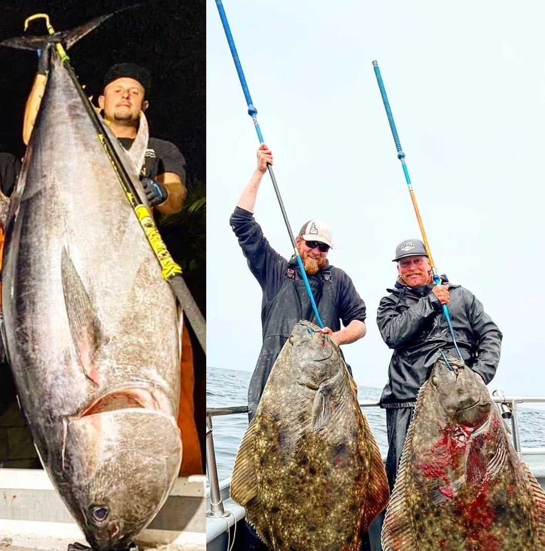 Stingerz Custom Gaffs Fishing Gaffs, Fishing, Sporting Goods